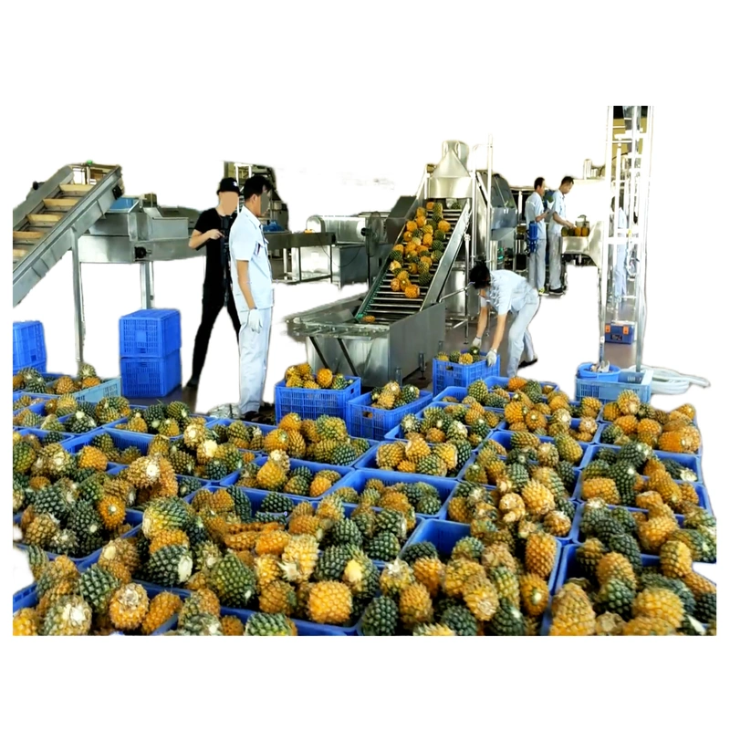 equipamento de produção de abacaxi enlatado