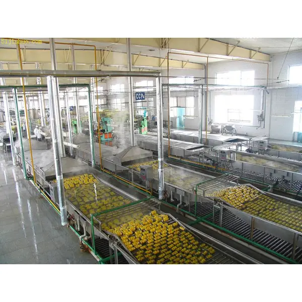 équipement de production d'ananas en conserve