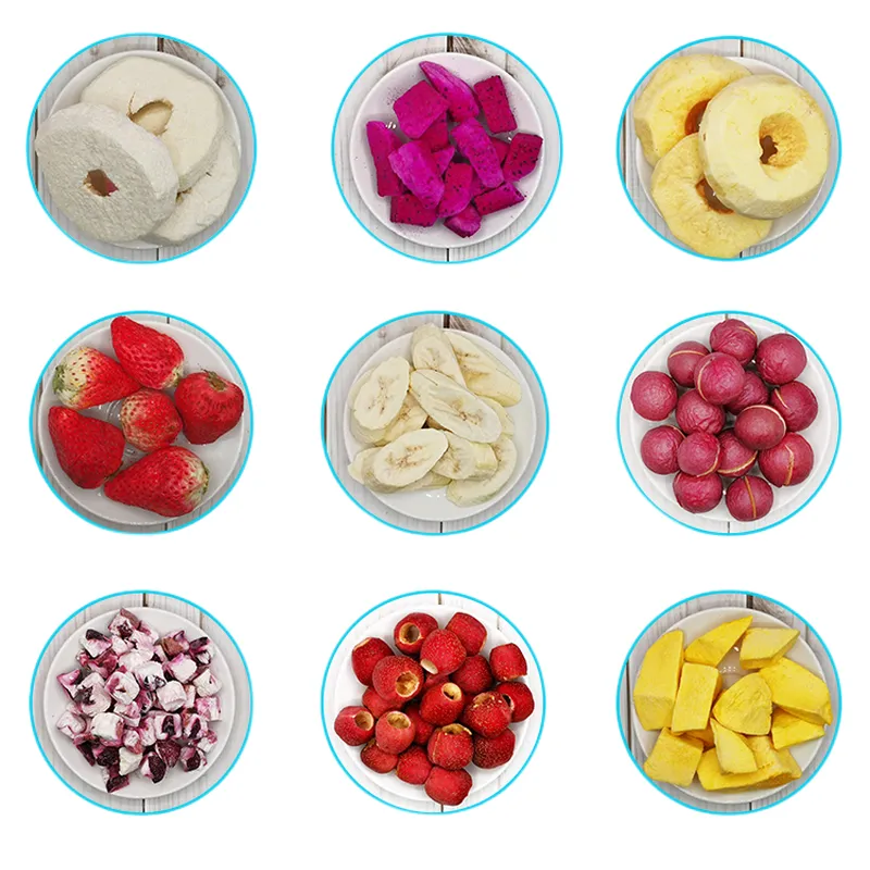 آلة تجفيف تجميد الطعام