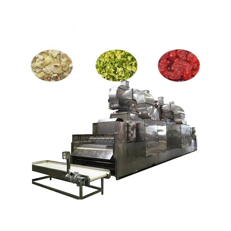 máquina de processamento de maçã seca, máquina de secagem de chips de maçã