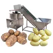máquina de descascar batata, máquina de descascar faca, descascador de escova