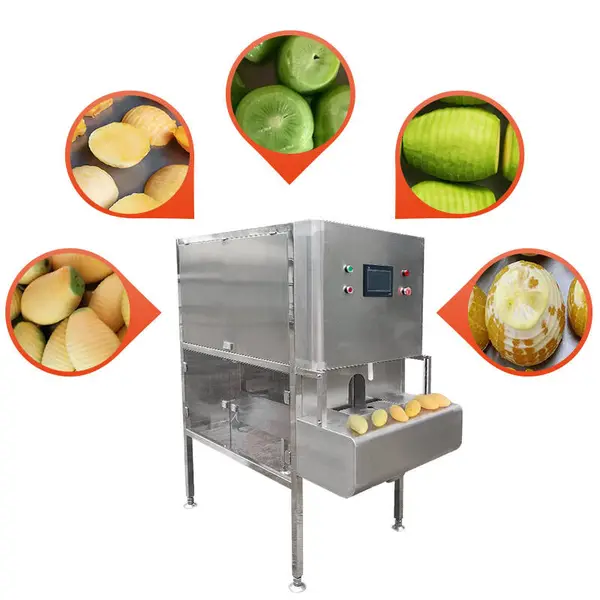 Machine à éplucher les fruits industrielle, machine à éplucher les pommes