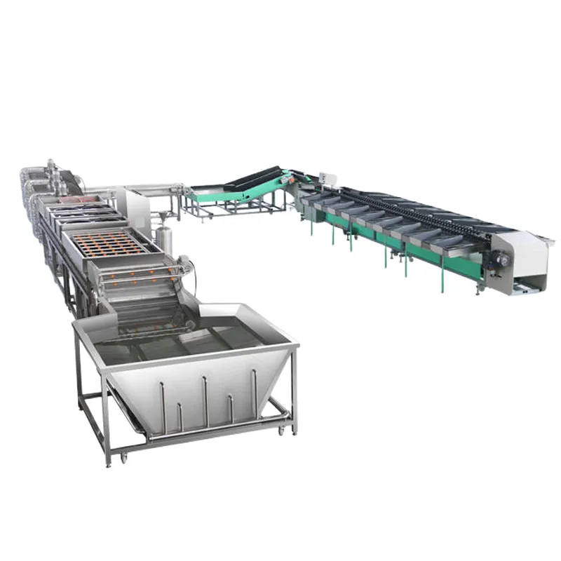 máquina de enceramento de frutas, máquina de classificação de frutas