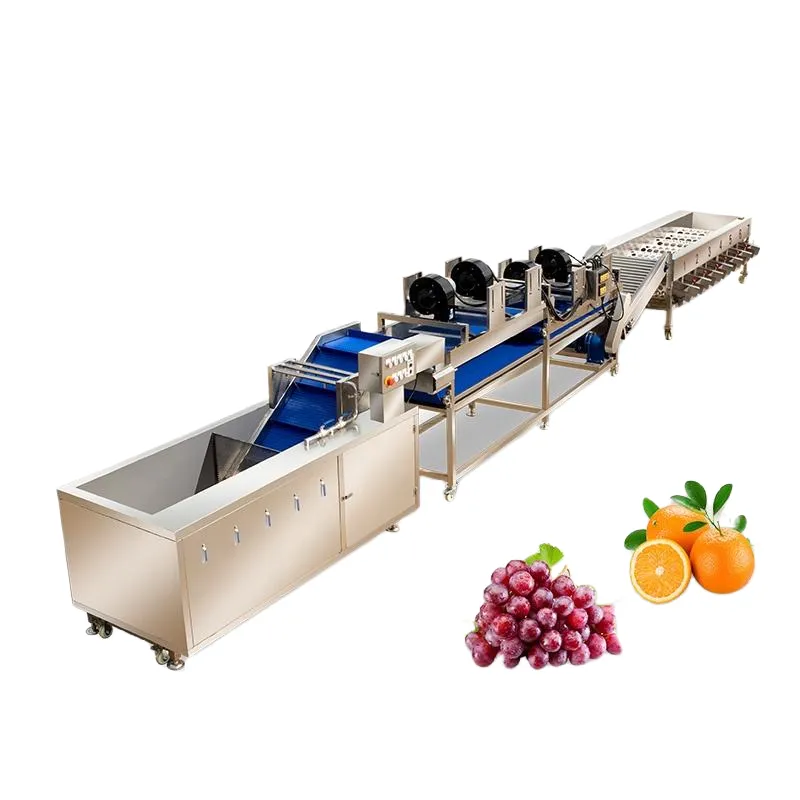 máquina de enceramento de frutas, máquina de classificação de frutas