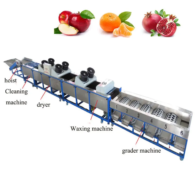 máquina de enceramento de frutas, máquina de classificação de frutas