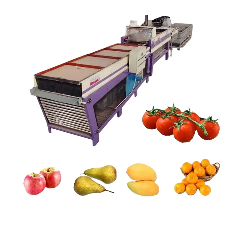 máquina de enceramento de frutas, máquina de classificação de frutas