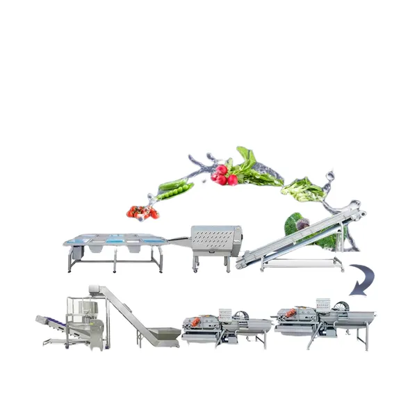 linha de produção de vegetais frescos, máquina de vegetais limpos