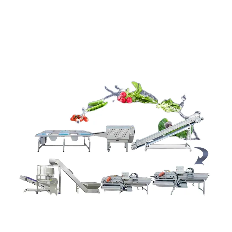 linha de produção de vegetais frescos, máquina de vegetais limpos