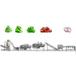 linha de produção de vegetais frescos, máquina de vegetais limpos