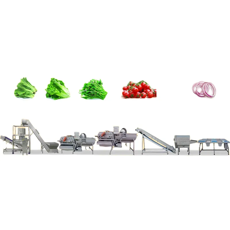 linha de produção de vegetais frescos, máquina de vegetais limpos