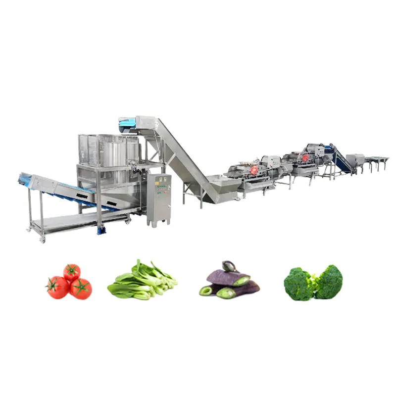 linha de produção de vegetais frescos, máquina de vegetais limpos