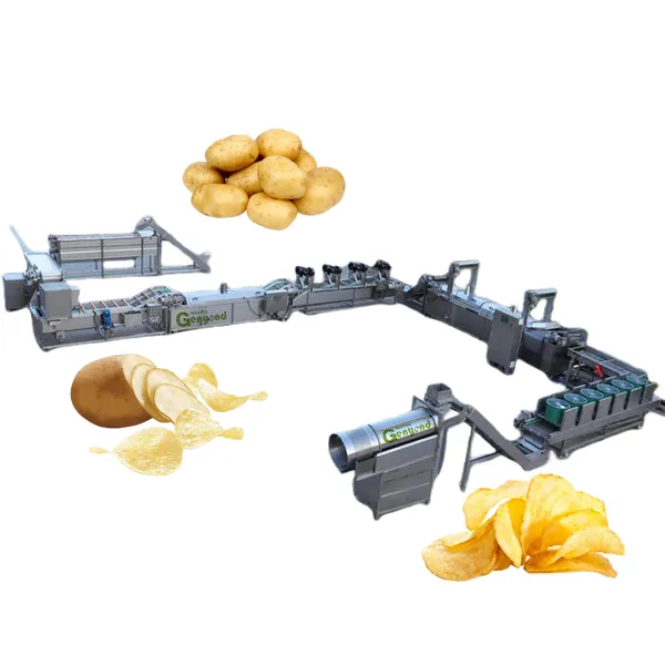 Potato chips processing machine