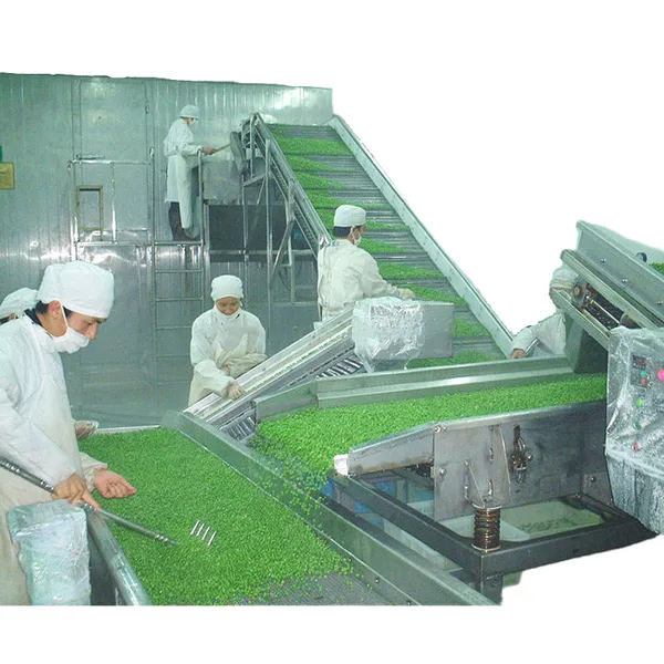 linha de processamento de vegetais congelados, linha de processamento de frutas congeladas