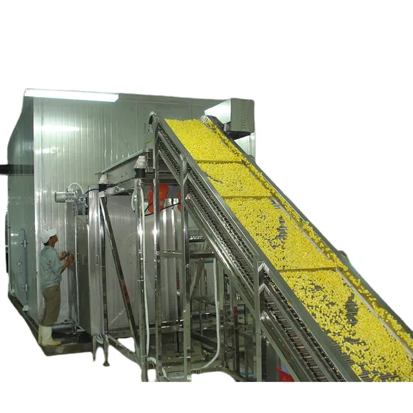 linha de processamento de vegetais congelados, linha de processamento de frutas congeladas