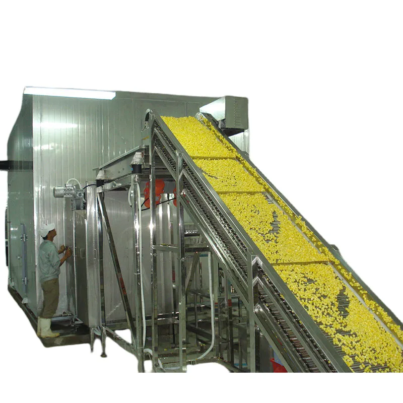 linha de processamento de vegetais congelados, linha de processamento de frutas congeladas