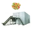 linha de processamento de vegetais congelados, linha de processamento de frutas congeladas