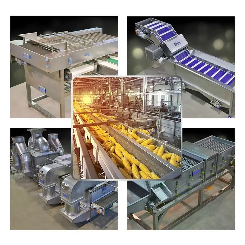 linha de processamento de vegetais congelados, linha de processamento de frutas congeladas