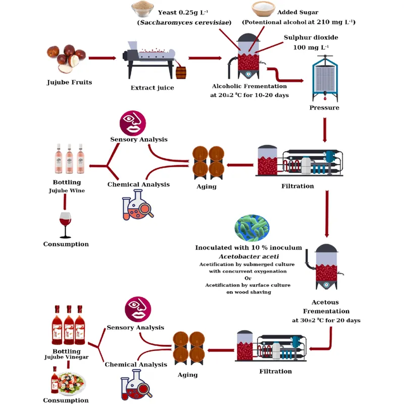 linha de produção de vinho de frutas, linha de produção de vinagre de frutas