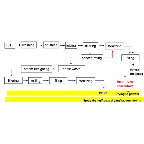 مصنع إنتاج مسحوق الفاكهة
