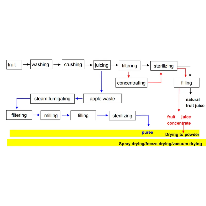 مصنع إنتاج مسحوق الفاكهة