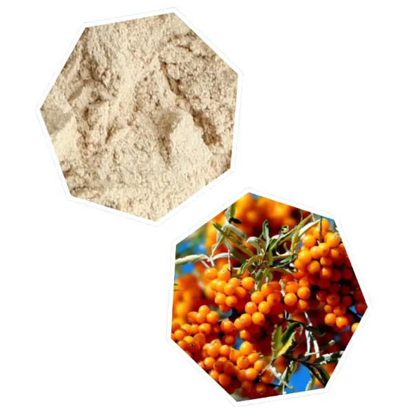 مصنع إنتاج مسحوق الفاكهة