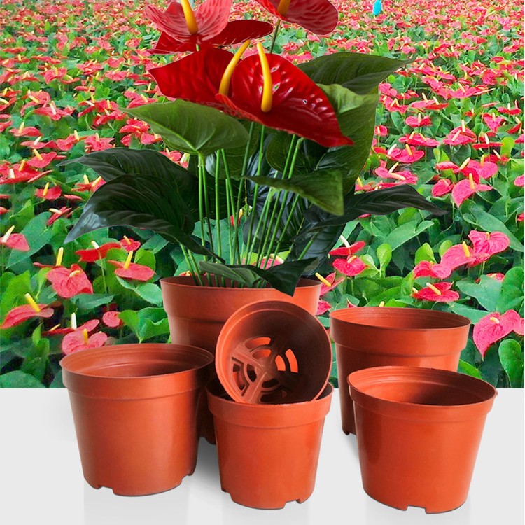 nursery pots.jpg