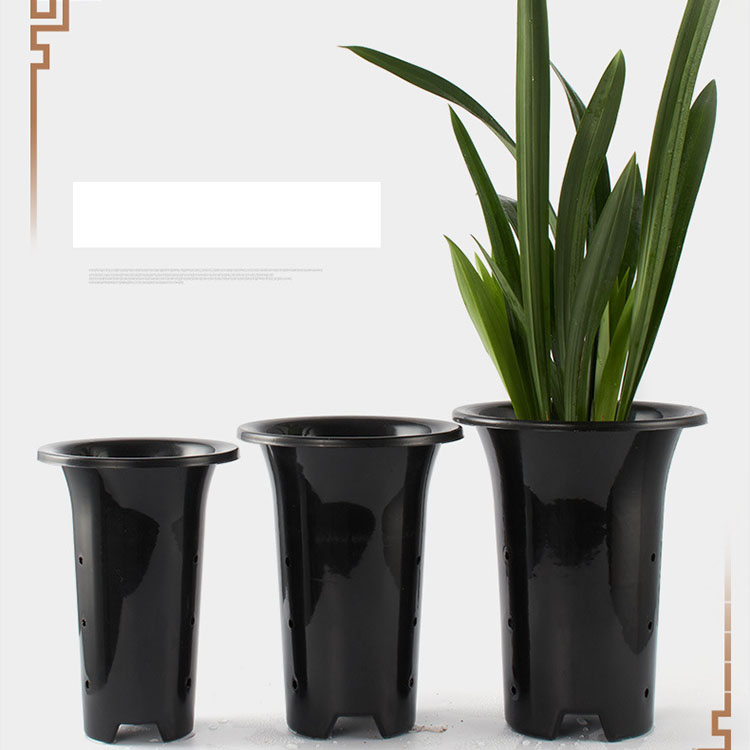 orchid planter pots.jpg