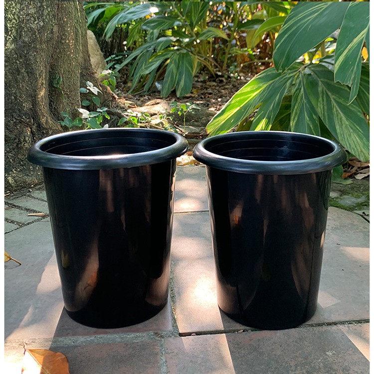 black orchid planter.jpg