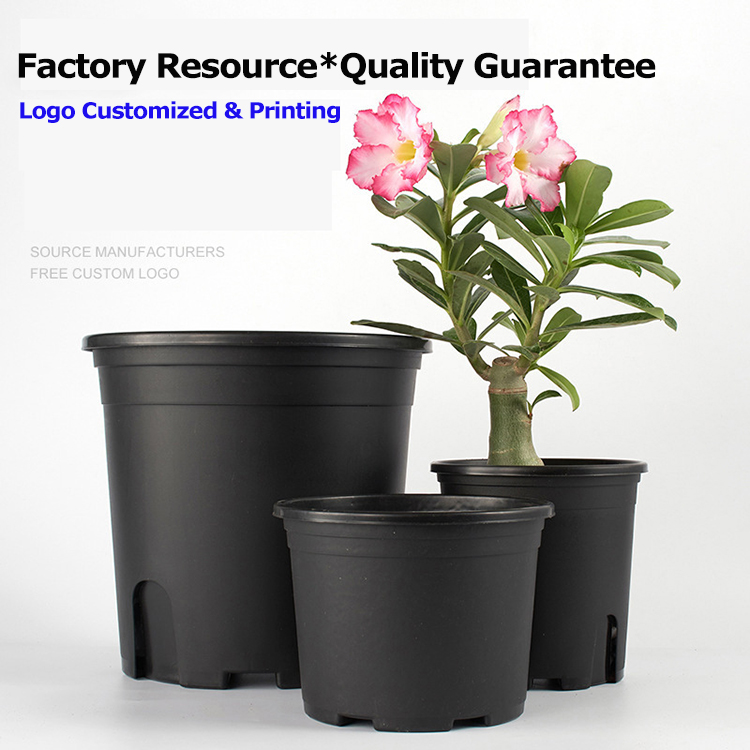 gallon planter.jpg