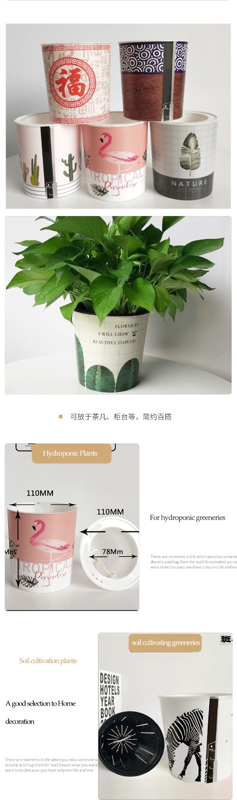 creative planter pots with drawing.jpg