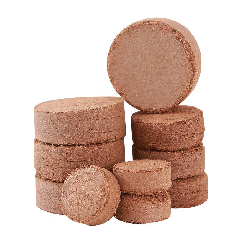 coco pith soil