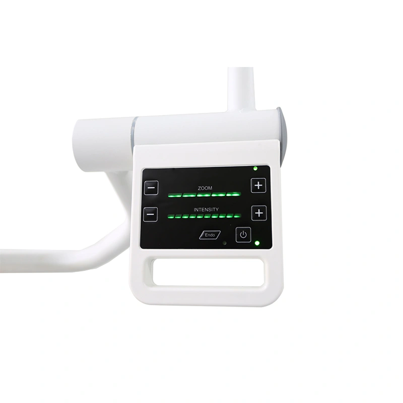 double heads surgical light