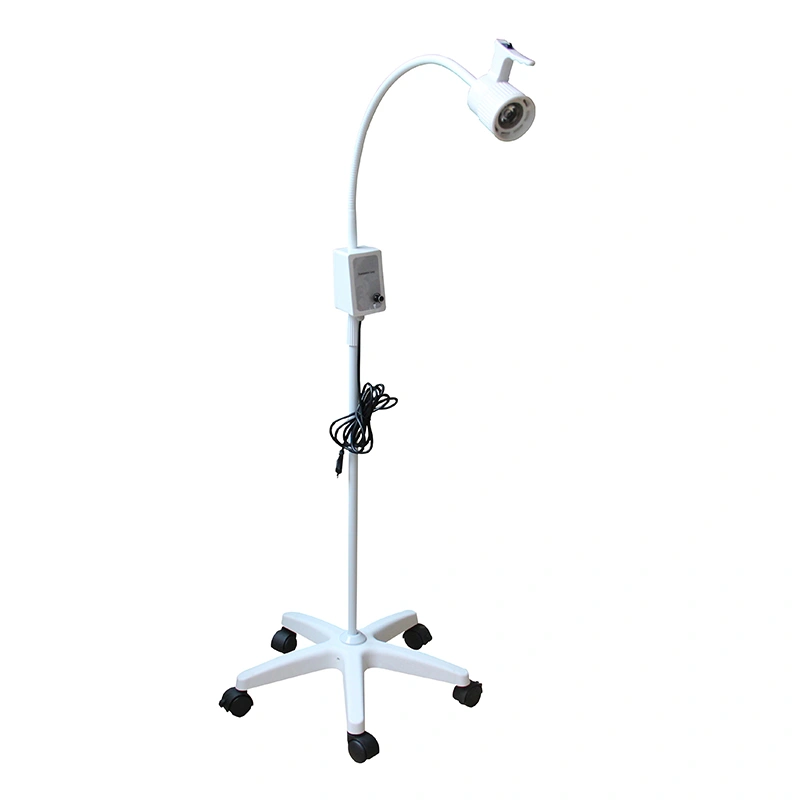 Mobile Flooring Type Surgical Exam Lights Medical Examination Lamp
