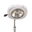 Quality Portable Mobile Surgical Exam Lights Medical Examination Lamp