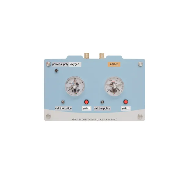 Gas Pressure Alarm Series Regional Gas Detection Alarm Box Can Customize Multiple Gases Sound and Light Warning Buzzer Mute