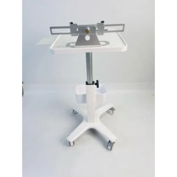 Multi-functional Trolley