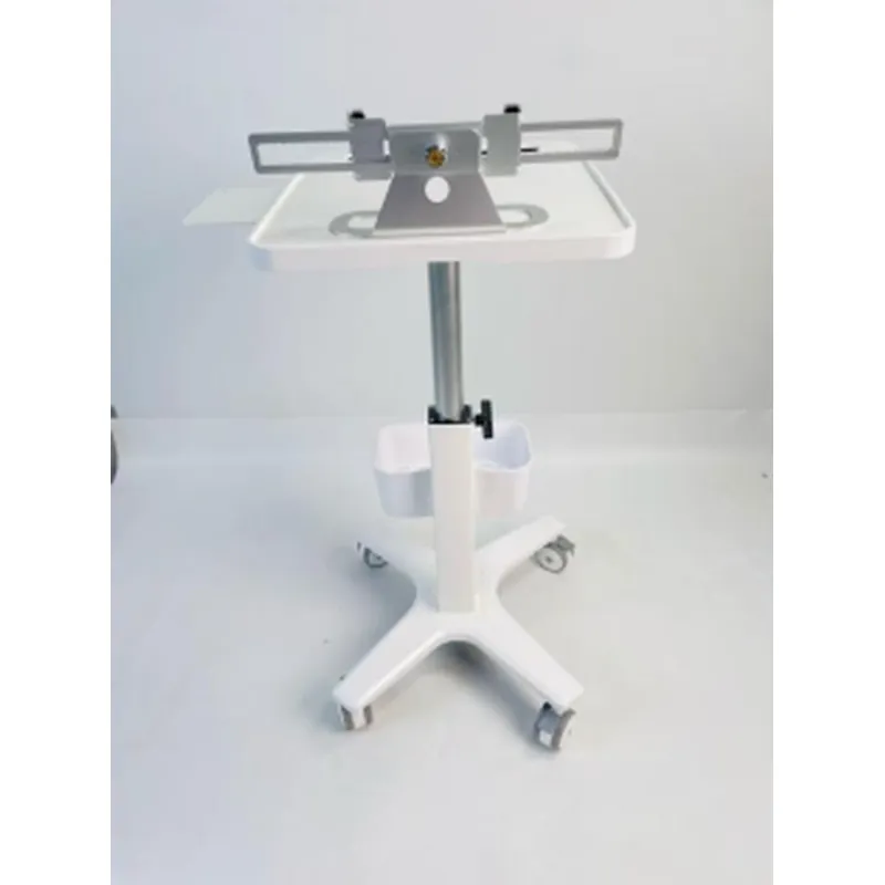 Multi-functional Trolley