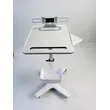 Multi-functional Trolley