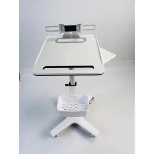 Multi-functional Trolley