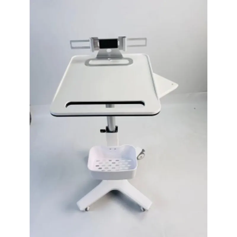 Multi-functional Trolley