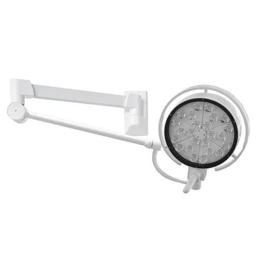 FY-300W Wall-Mounted Single-arm Operating light Examination Lamp for Clinic 