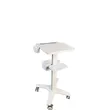 Ultrasound Trolley