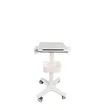 Ultrasound Trolley