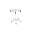 Height-adjustable Ultrasound Trolley