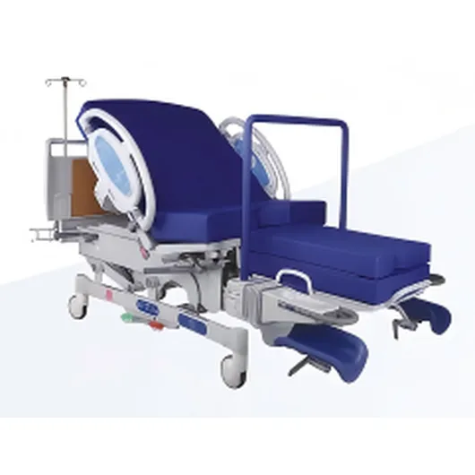 FY-C1280F2 Multi-functional Intelligent Delivery Bed