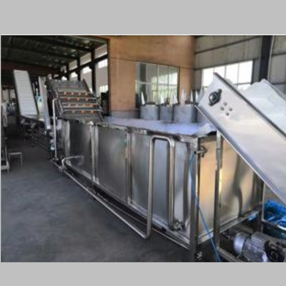 خط معالجة زيت التين الشوكي 500 كجم بالساعة إلى الجزائر  