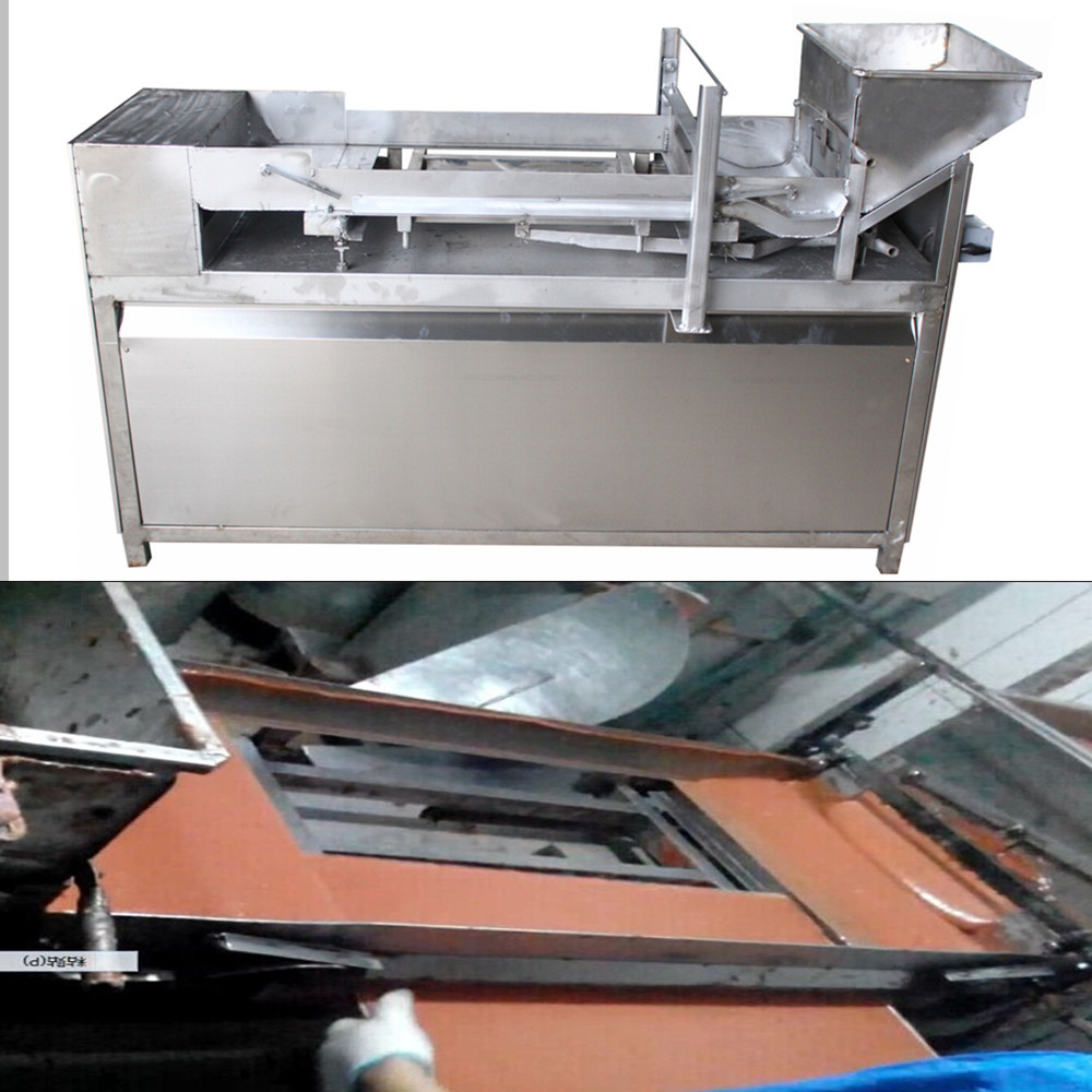 شهادة ce أخرى لآلة صنع جلد الفاكهة