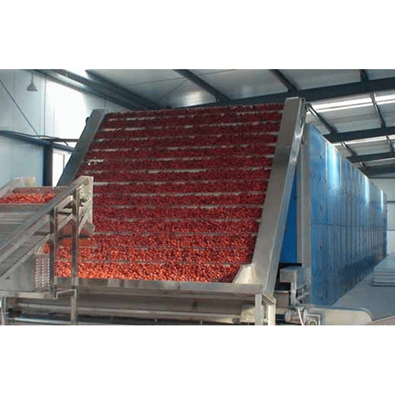candied fruit vegetable processing line,,preserved fruit machine