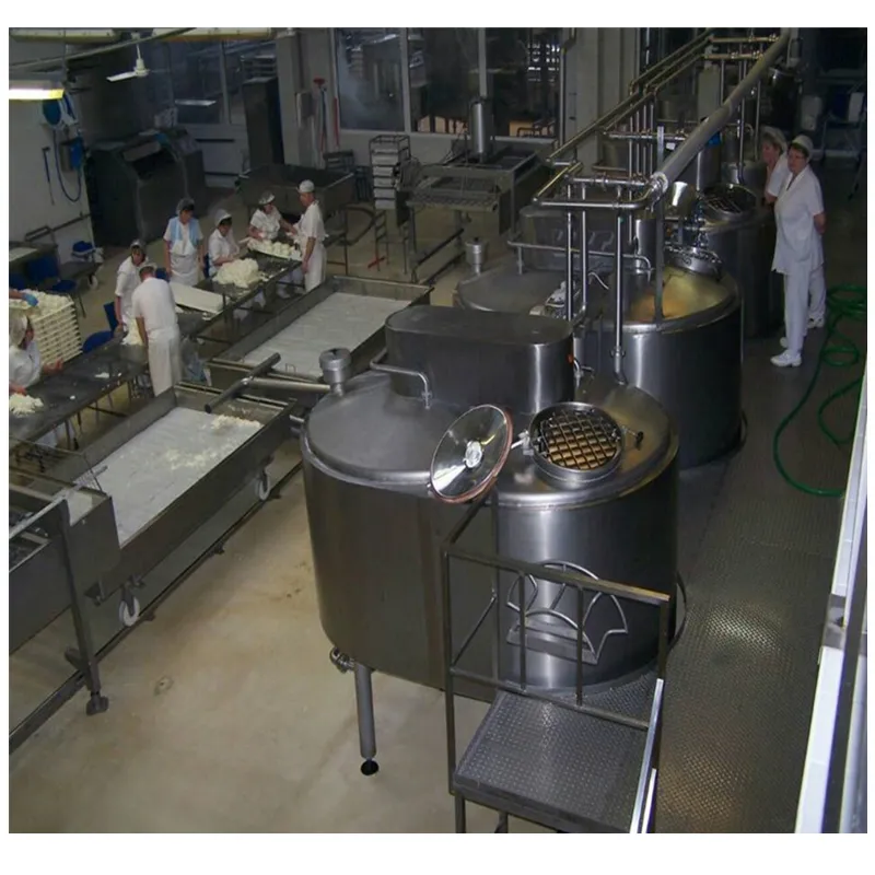 Cheese Processing Equipment