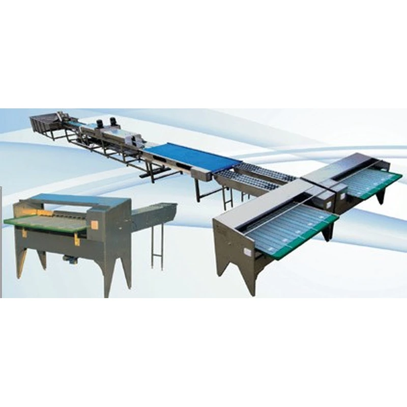 ligne d'emballage de tri de nettoyage d'oeufs, machine à emballer de plateau d'oeufs